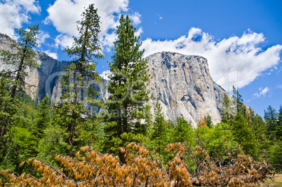 Yosemite Valley El Capitan