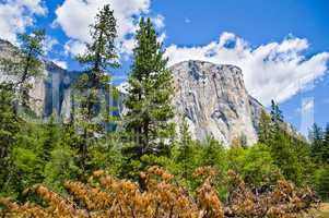 Yosemite Valley El Capitan