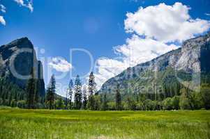 Yosemite Valley - Wiese mit Gebirge