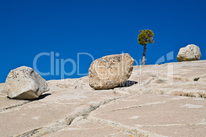 Granitblöcke auf zerklüfteter Granitplatte mit Kiefernbaum