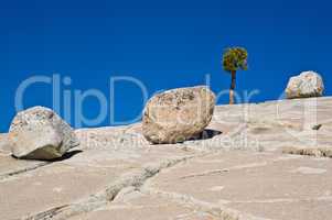 Granitblöcke auf zerklüfteter Granitplatte mit Kiefernbaum