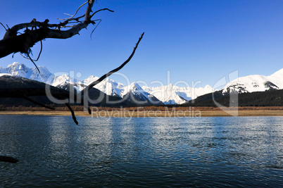 Fluss mit Fairweather Gebirge im Hintergrund