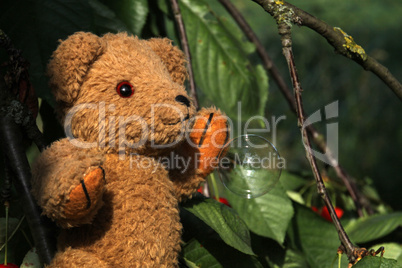 Teddybär mit Seifenblase