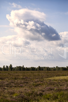 Hochmoor - Wolke