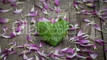 Palm Leaf heart