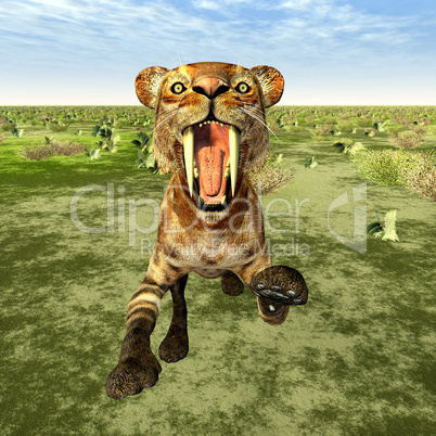 Säbelzahnkatze Smilodon