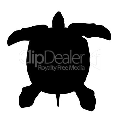 Silhouette einer Meeresschildkröte
