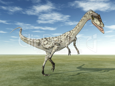 Dinosaurier Coelophysis