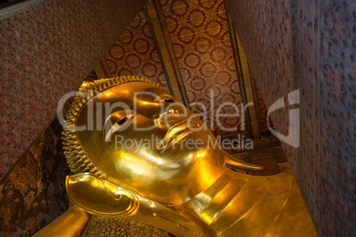 Golden Buddha head