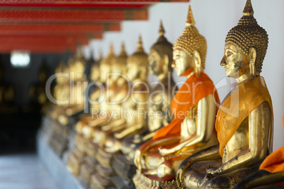 Row of sitting Buddha