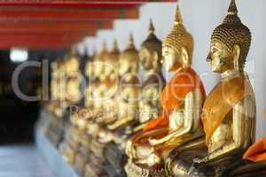 Row of sitting Buddha