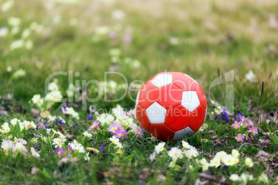 Soccer ball