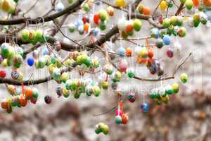 Easter eggs on tree