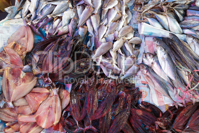 fishes in market