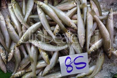 Fresh fishes in market