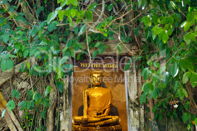 Golden Buddha statue