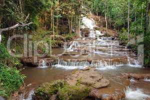 jungle and waterfall