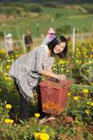 woman harvesting flower
