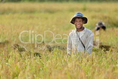 rice farmer