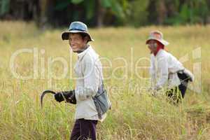 rice workers