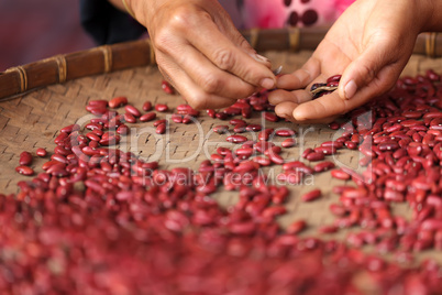 red bean selecting