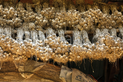 Onion drying