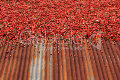 Red pepper drying