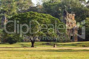 Angkor thom nature
