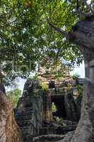 Preah palilay temple