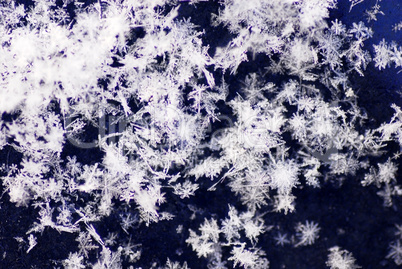 Snowflakes background