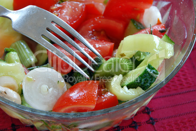 Appetizing vegetable salad