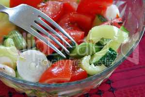 Appetizing vegetable salad