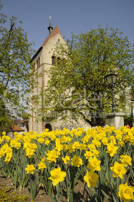 Klosterkirche in Reichenau-Mittelzell