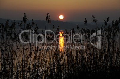 Abend am Bodensee