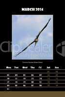 Bird calendar for 2014 - march