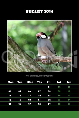 Bird calendar for 2014 - august