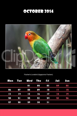 Bird calendar for 2014 - october