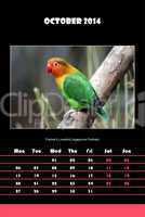 Bird calendar for 2014 - october