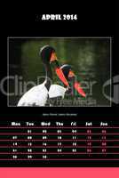 Bird calendar for 2014 - april