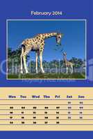 Safari calendar for 2014 - february