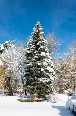 Winterlandschaft