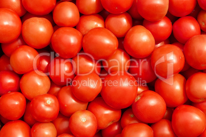 Many ripe red tomatoes