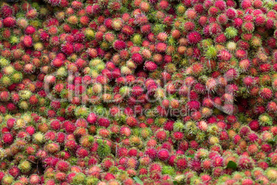 Rambutan fruit background