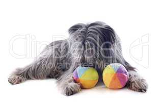 pyrenean sheepdog ans toys