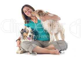 australian shepherds and woman