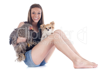 girl, chihuahua and chicken