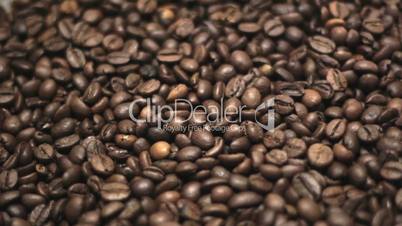 Coffee Beans. Rotation.