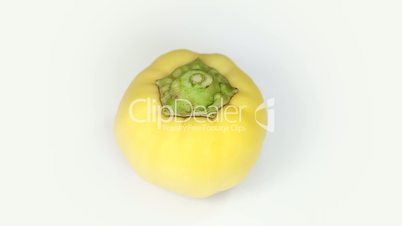 Yellow pepper rotating on white background