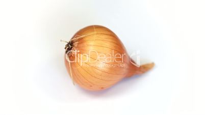 Ripe onion rotating on a white background