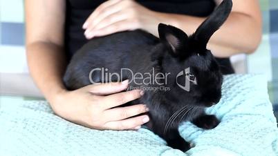 Woman holding and petting a black rabbit